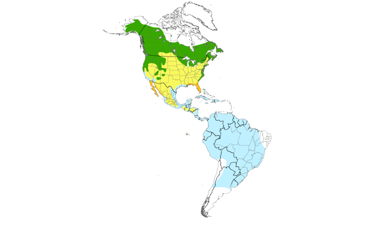 Range Map (Americas): Osprey