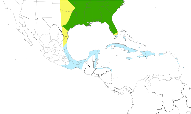 Range Map (Central): Northern Parula