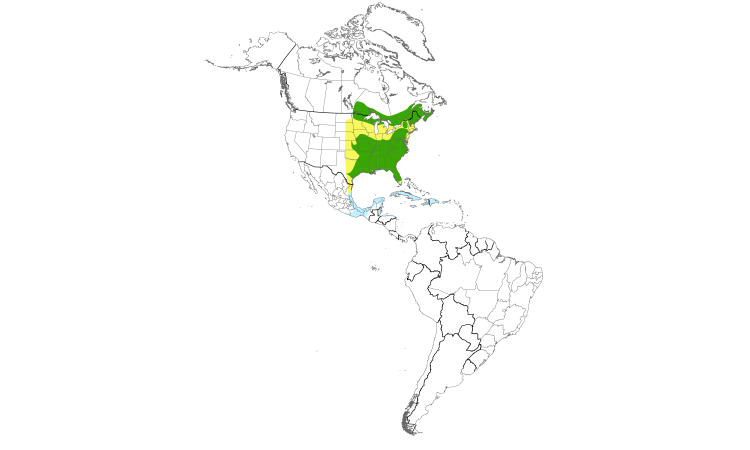 Range Map (Americas): Northern Parula