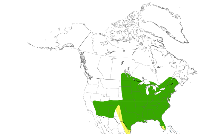 Range Map (North): Indigo Bunting