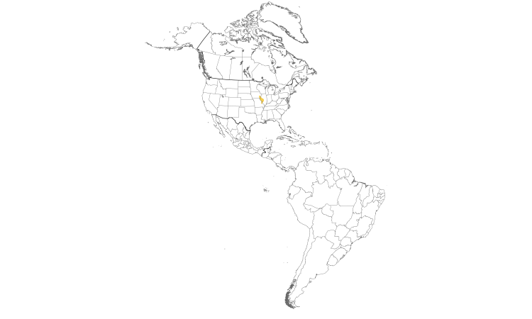 Range Map (Americas): Eurasian Tree Sparrow