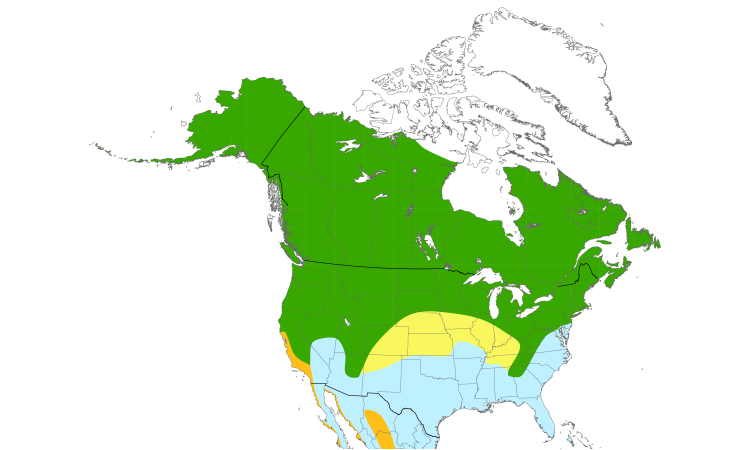 Range Map (North): Savannah Sparrow