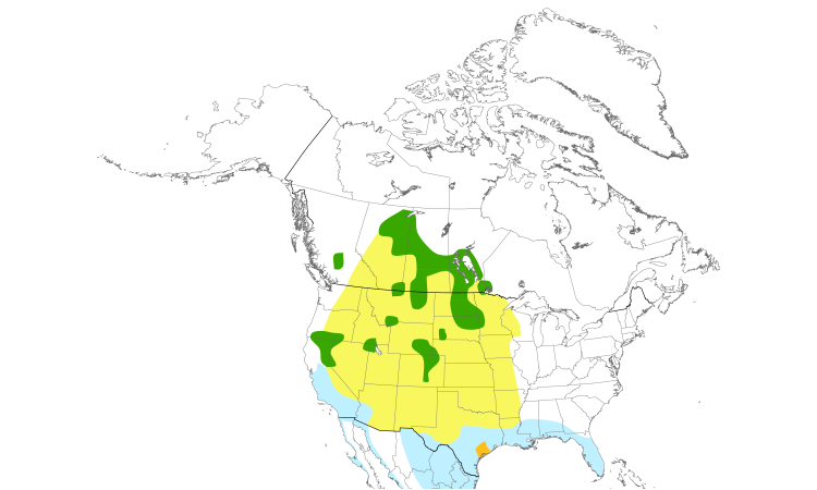 Range Map (North): American White Pelican