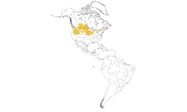 Range Map (Americas): Gray Partridge