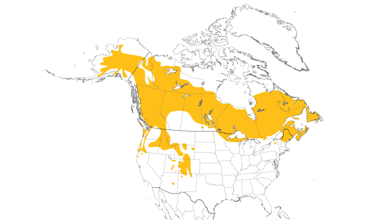 Range Map (North): Gray Jay