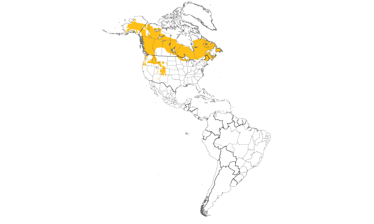 Range Map (Americas): Gray Jay
