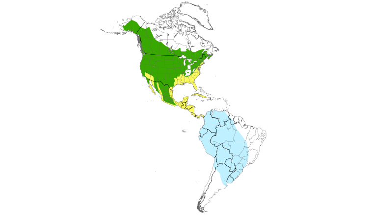 Range Map (Americas): Cliff Swallow