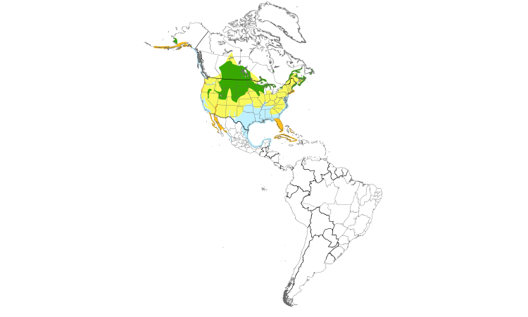 Range Map (Americas): Double-crested Cormorant