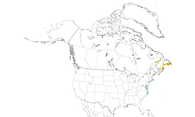 Range Map (North): Great Cormorant