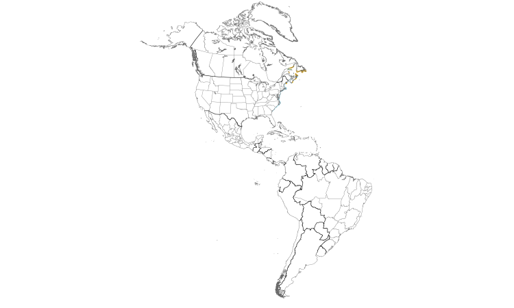 Range Map (Americas): Great Cormorant