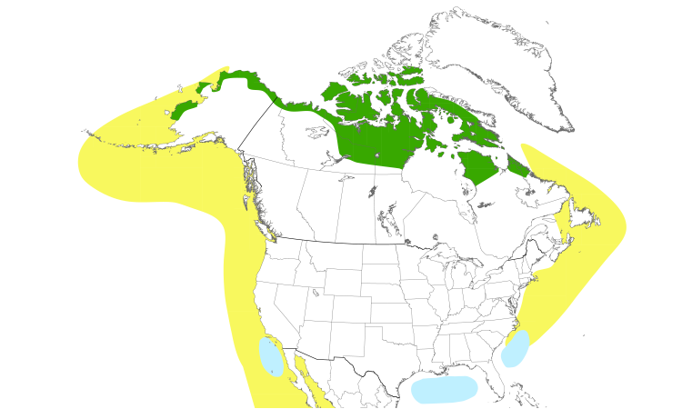 Range Map (North): Red Phalarope