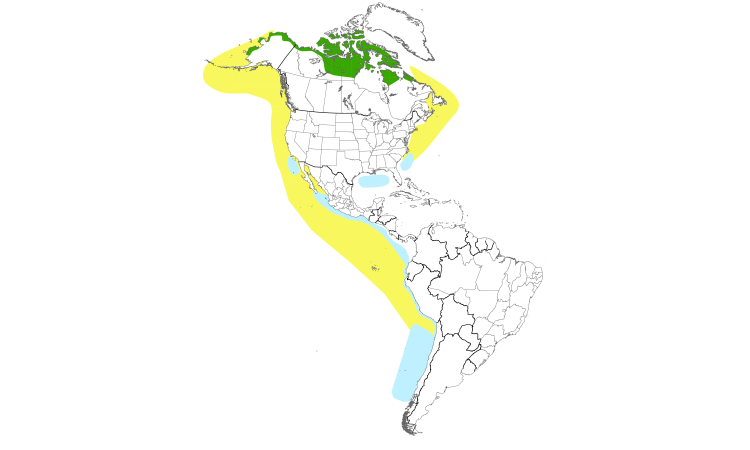 Range Map (Americas): Red Phalarope