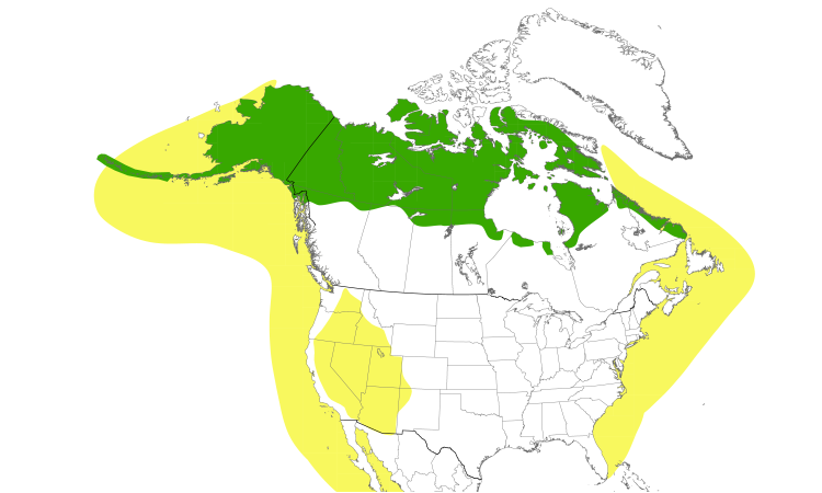 Range Map (North): Red-necked Phalarope