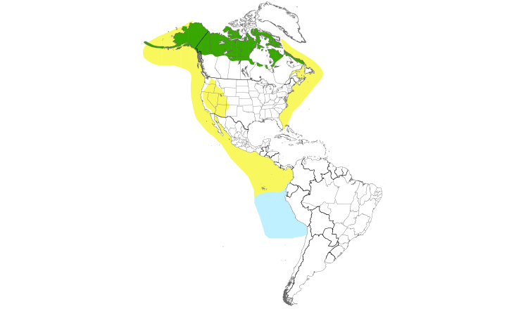 Range Map (Americas): Red-necked Phalarope