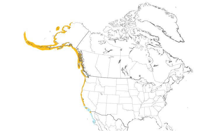 Range Map (North): Pelagic Cormorant