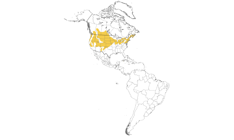 Range Map (Americas): Ring-necked Pheasant