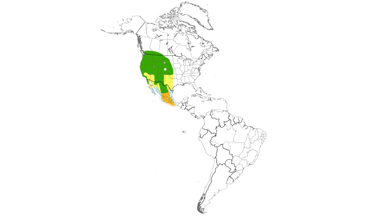 Range Map (Americas): Black-headed Grosbeak