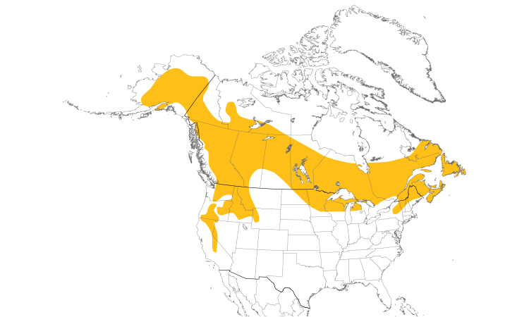 Range Map (North): Black-backed Woodpecker