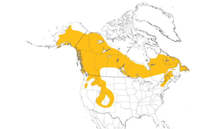Range Map (North): American Three-toed Woodpecker