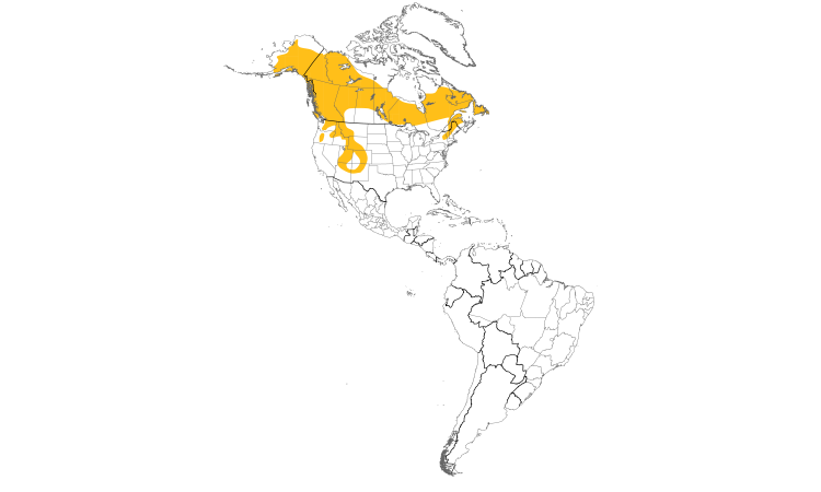 Range Map (Americas): American Three-toed Woodpecker