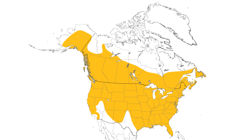 Range Map (North): Downy Woodpecker