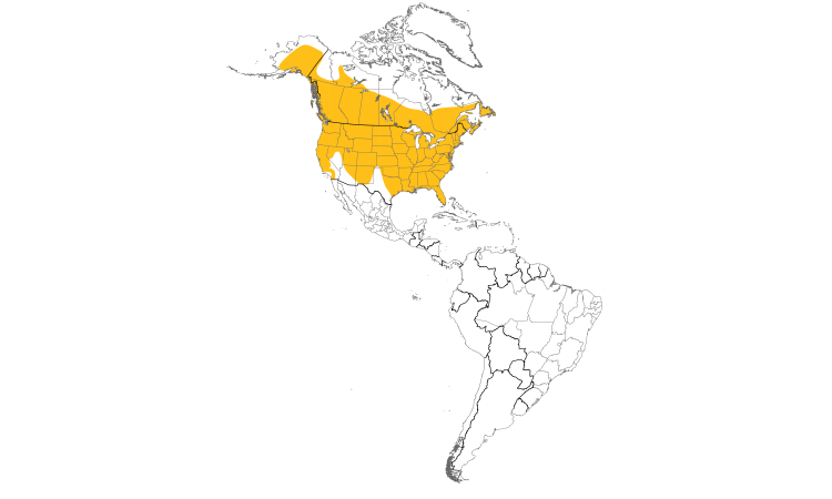 Range Map (Americas): Downy Woodpecker