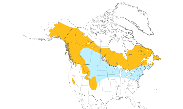 Range Map (North): Pine Grosbeak