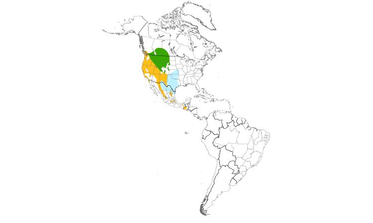 Range Map (Americas): Spotted Towhee
