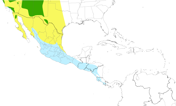 Range Map (Central): Western Tanager