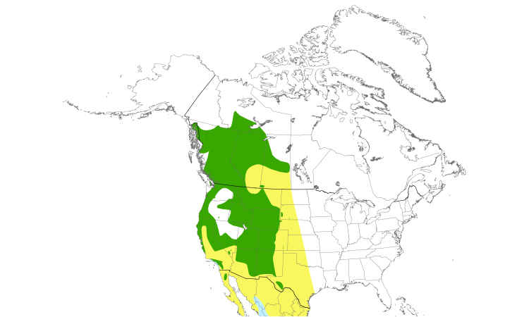Range Map (North): Western Tanager