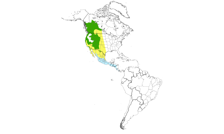 Range Map (Americas): Western Tanager