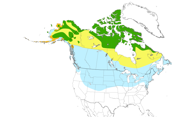 Range Map (North): Snow Bunting