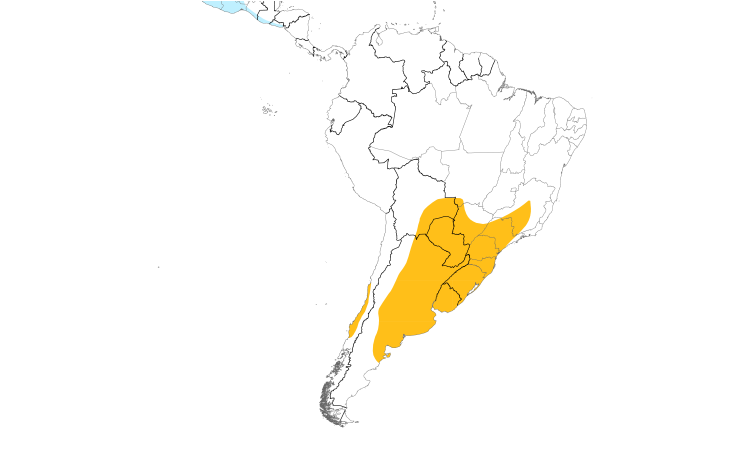 Range Map (South): White-faced Ibis