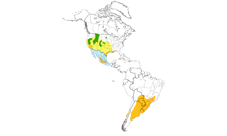 Range Map (Americas): White-faced Ibis