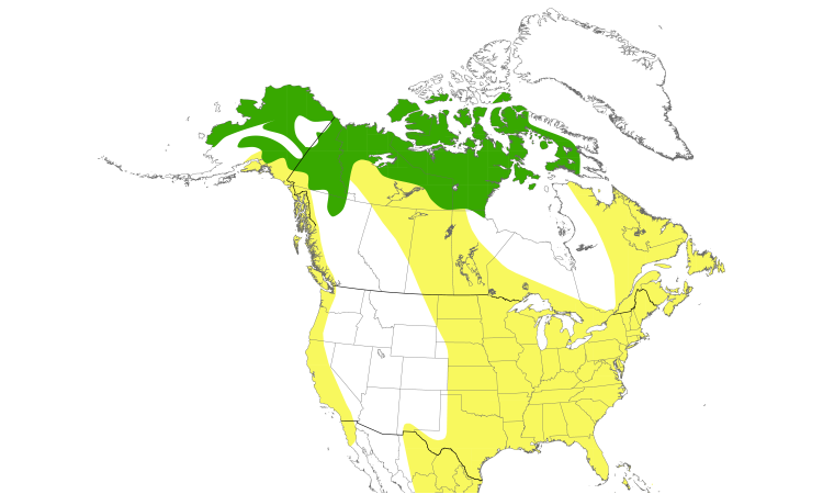 Range Map (North): American Golden-Plover