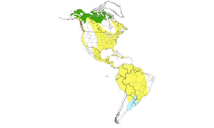 Range Map (Americas): American Golden-Plover