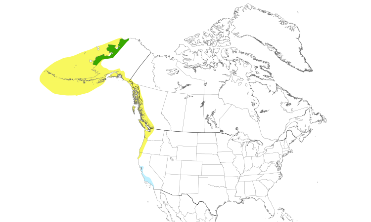 Range Map (North): Pacific Golden-Plover