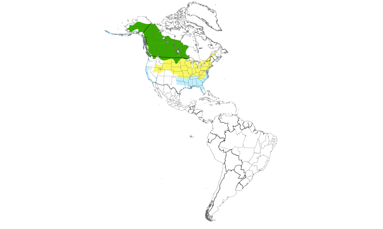 Range Map (Americas): Horned Grebe