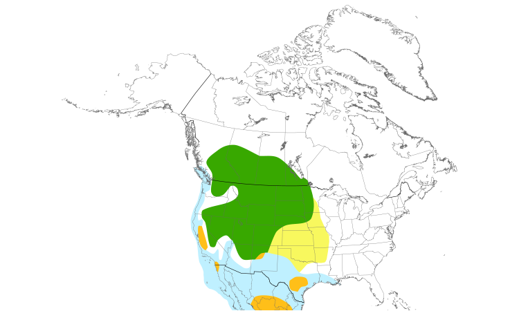 Range Map (North): Eared Grebe