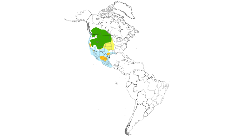 Range Map (Americas): Eared Grebe