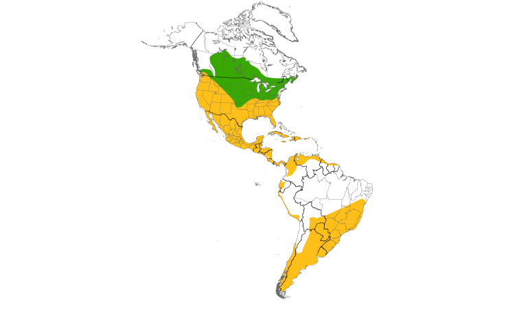 Range Map (Americas): Pied-billed Grebe