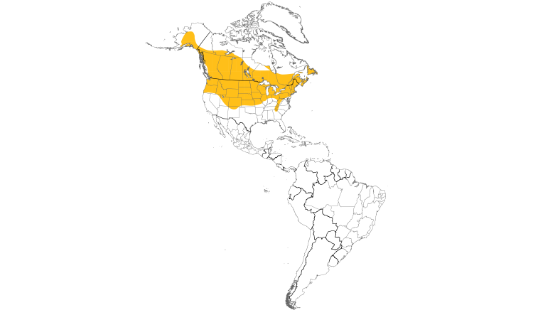 Carte de répartition  (Americas): Mésange à tête noire