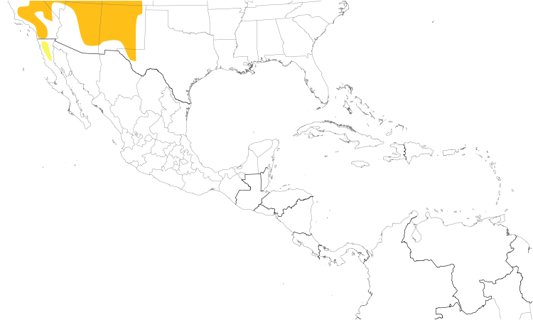 Range Map (Central): Mountain Chickadee