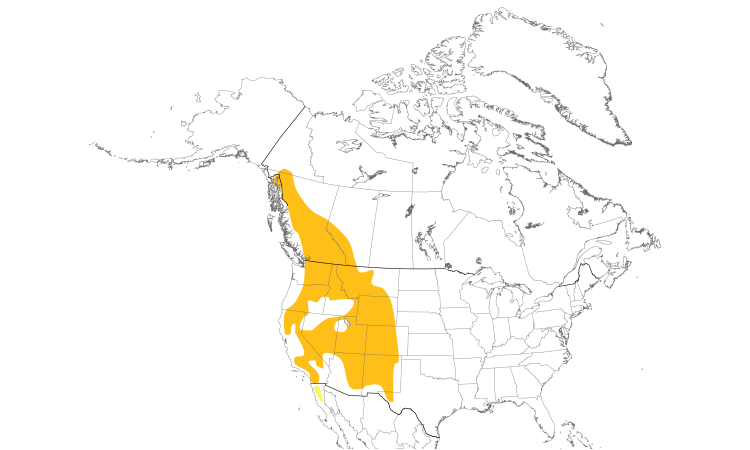 Range Map (North): Mountain Chickadee