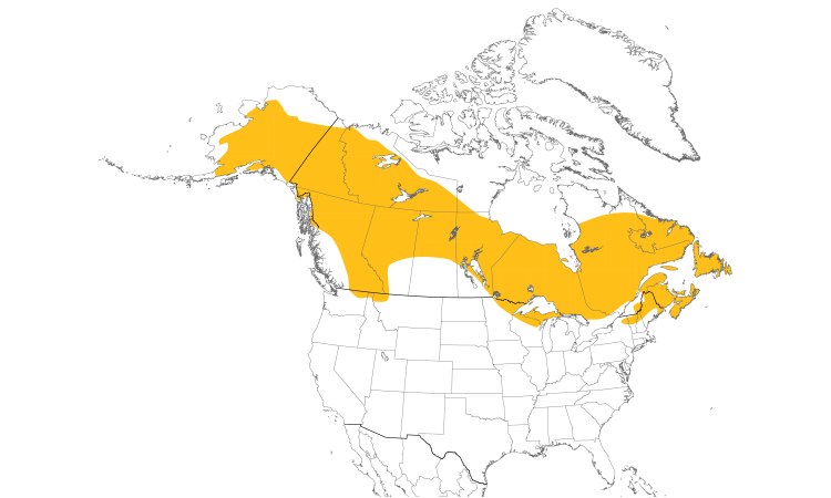 Range Map (North): Boreal Chickadee