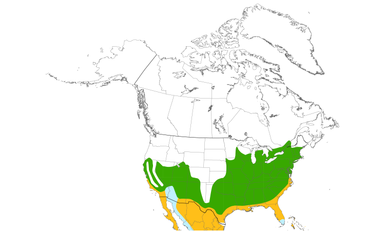Range Map (North): Blue-gray Gnatcatcher