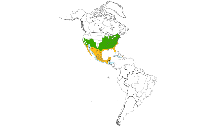 Range Map (Americas): Blue-gray Gnatcatcher