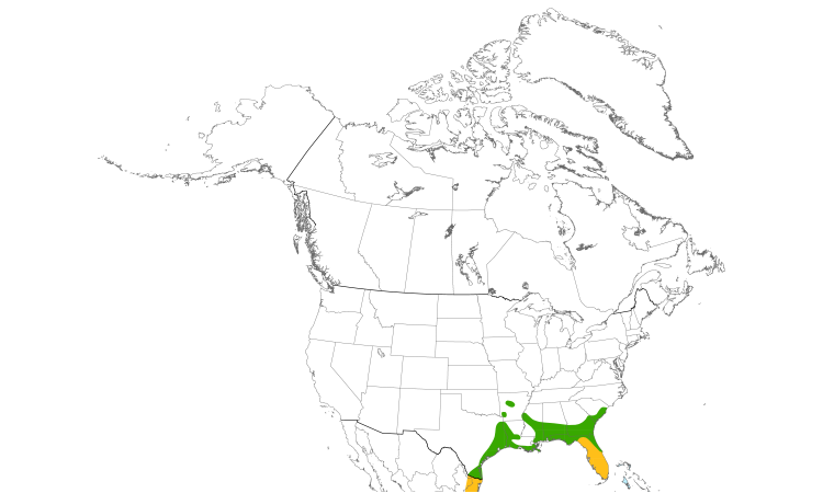 Range Map (North): Purple Gallinule
