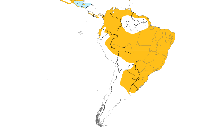 Range Map (South): Purple Gallinule