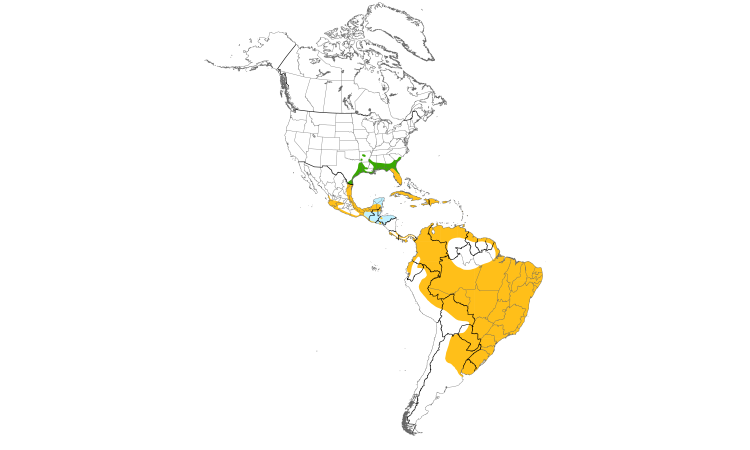 Range Map (Americas): Purple Gallinule